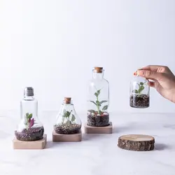 تراریوم ‏بطری ‏ویال