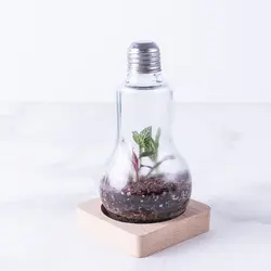 تراریوم ‏بطری ‏ویال