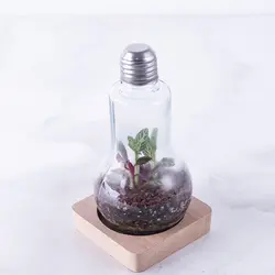 تراریوم ‏بطری ‏ویال