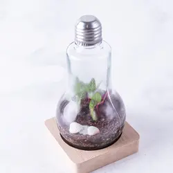 تراریوم ‏بطری ‏ویال