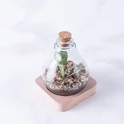 تراریوم ‏بطری ‏ویال