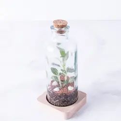 تراریوم ‏بطری ‏ویال