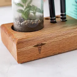 رومیزی و تراریوم فیتونیا