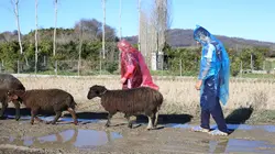 پانچو بارانی نایلونی
