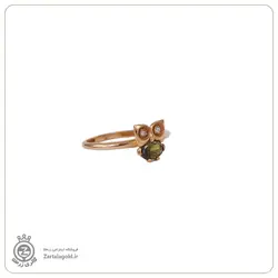نیم ست طلا طرح جغد - خرید آنلاین طلا 5,969,000&nbsp;تومان