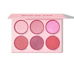 پالت رژگونه 6 رنگ شیگلم مدل Blushing Bouquet