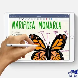 Apple iPad Air (2019) - نمایندگی محصولات dji و zhiyun