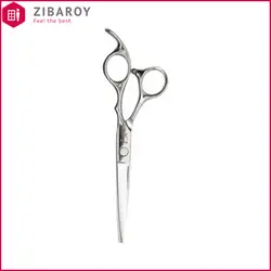 قیچی آرایشگاهی استیل آی ایکس مدل JD855-6