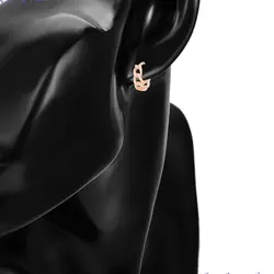 گوشواره کارتیر حلقه ای مینی