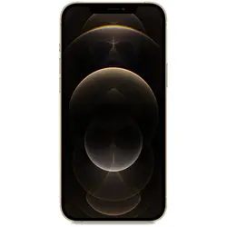 گوشی موبایل اپل مدل iPhone 12 Pro Max ظرفیت 256 گیگابایت پارت نامبر ZA