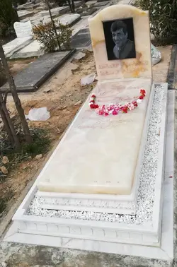 سنگ قبر مرمر نباتی رنگ کد160117