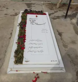 سنگ نانو باغچه ای کد024