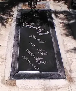 سنگ گرانيت سوپر گرید ۱کد01117