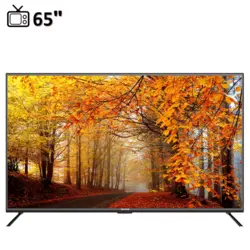 تلویزیون هوشمند آیوا مدل D18 سایز 65 اینچ