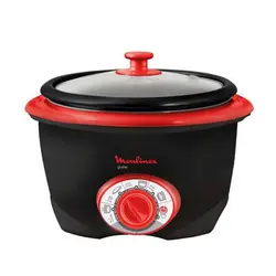 پلوپز مولینکس RC1108-10BR