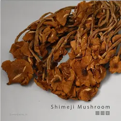 قارچ شیمجی