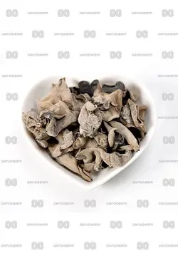 قارچ سیاه Black Fungus