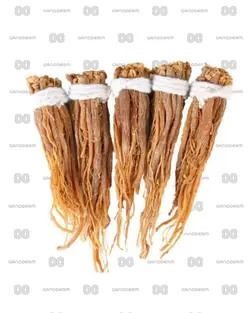 جینسینگ قرمز اصل (Red Ginseng)