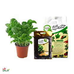 خاک سبزی کاری گیلدا 4 لیتری