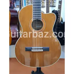 گیتار کلاسیک اسمیگر Smiger t420