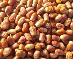 خرما زاهدی 1کیلوگرم