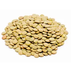 عدس کانادایی 1کیلوگرم