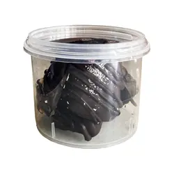 شکلات مغزدار کتویی (شیرین شده با استویا) - 120 گرم