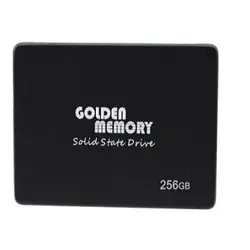 حافظه اس اس دی گلدن با ظرفیت 256 گیگابایت | SSD Golden 256GB
