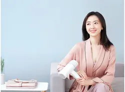 اتو بخار دستی شیائومی Xiaomi Lofans Portable Handheld Garment Steamer GT-306LW