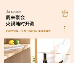 زود پز برقی 3 کاره شیائومی مدل Xiaomi Zhenimi Electric Presssure Cooker ZMYL-401 ظرفیت 4 لیتری