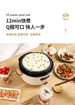 زود پز برقی 3 کاره شیائومی مدل Xiaomi Zhenimi Electric Presssure Cooker ZMYL-401 ظرفیت 4 لیتری