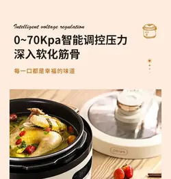 زود پز برقی 3 کاره شیائومی مدل Xiaomi Zhenimi Electric Presssure Cooker ZMYL-401 ظرفیت 4 لیتری