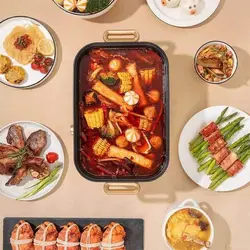 قابلمه چندکاره برقی شیائومی ZHENMI مدل ZM-ED4001