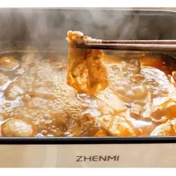 قابلمه چندکاره برقی شیائومی ZHENMI مدل ZM-ED4001