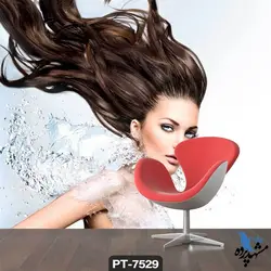 پوستر دیواری طرح چهره زن کد PT-7529