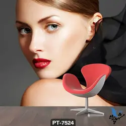 پوستر دیواری طرح چهره زن کد PT-7524