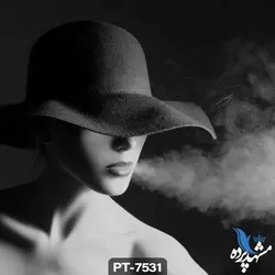 پوستر دیواری طرح چهره زن کد PT-7531