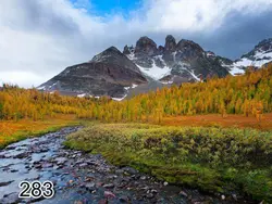 پرده شید رول تصویری طرح طبیعت کد 283