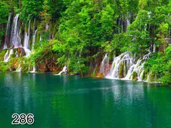 پرده شید رول تصویری طرح طبیعت کد 286