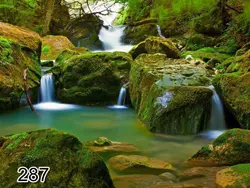 پرده شید رول تصویری طرح طبیعت کد 287