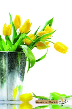 پرده شرشره تصویری کد 1047