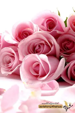 پرده شرشره تصویری طرح گل رز  کد 1037