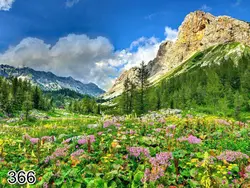 پرده لوردراپه تصویری طرح طبیعت کد 366