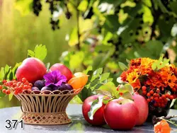 پرده لوردراپه تصویری طرح سبد میوه کد 371