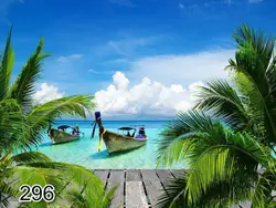 پرده شید رول تصویری طرح طبیعت کد 296