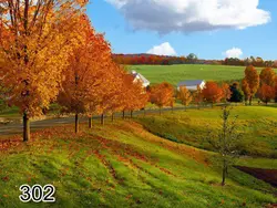 پرده شید رول تصویری طرح طبیعت کد 302