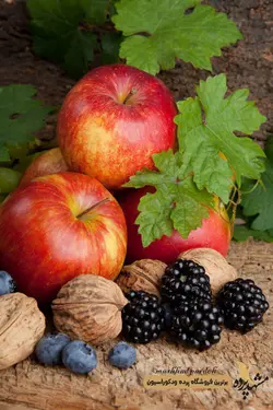 پرده لوردراپه تصویری طرح میوه کد 1003