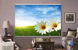 پرده شید رول تصویری طرح گل ژربرا کد ST9233