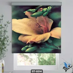 پرده شید رول تصویری طرح فانتزی گل نیلوفر کد ST9314