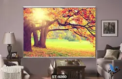پرده شید رول تصویری طرح پارک کد ST9260